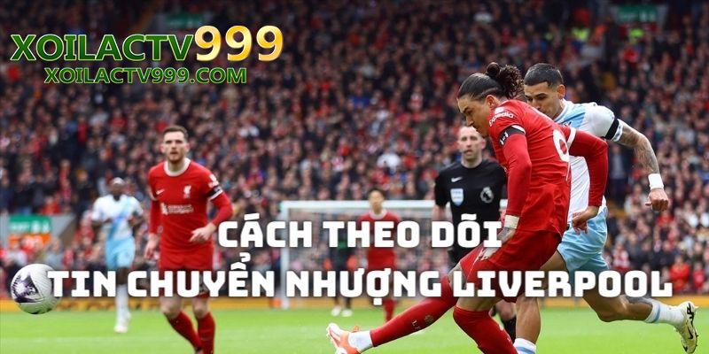 Chia sẻ cách theo dõi các tin chuyển nhượng CLB Liverpool nhanh chóng